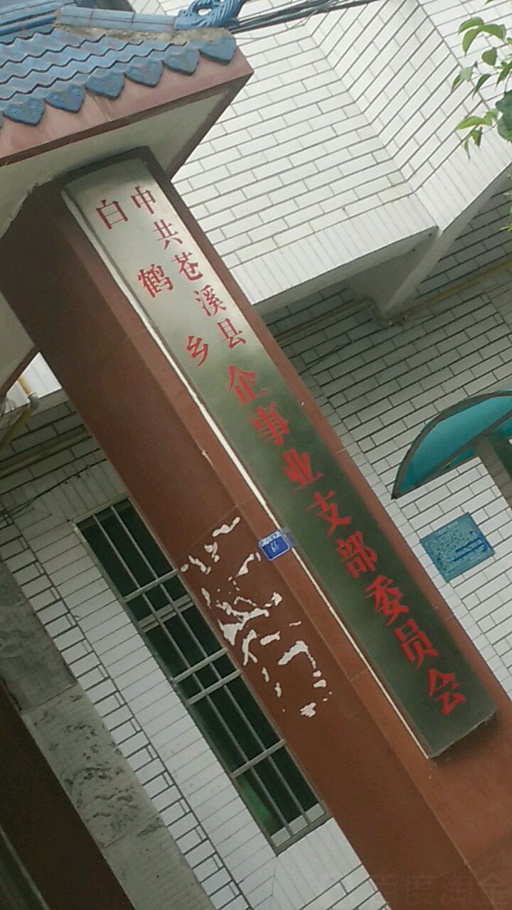 广元市苍溪县白鹤街74号