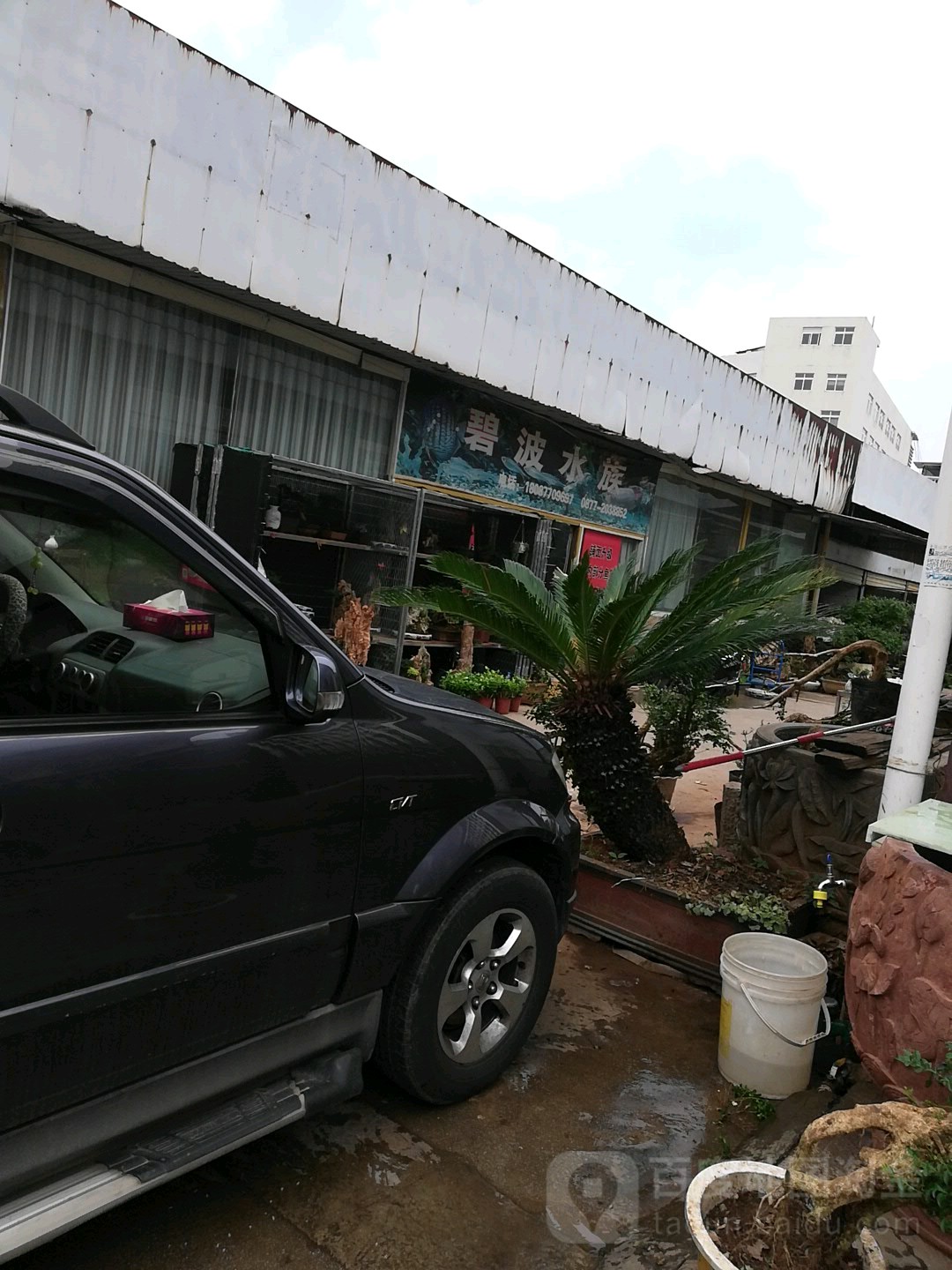 碧波水族管(许家湾路店)