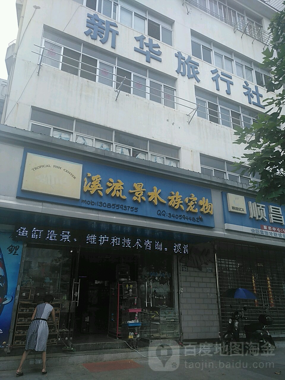 溪流景水族宠物(滨江路店)