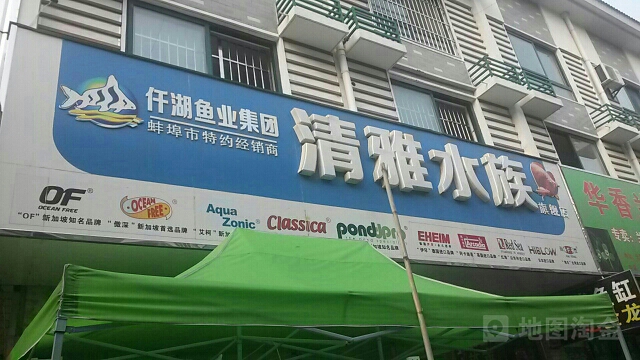 青雅水族