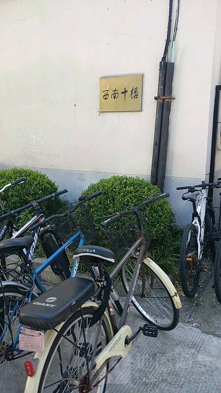 同济大学了-西南十楼a楼