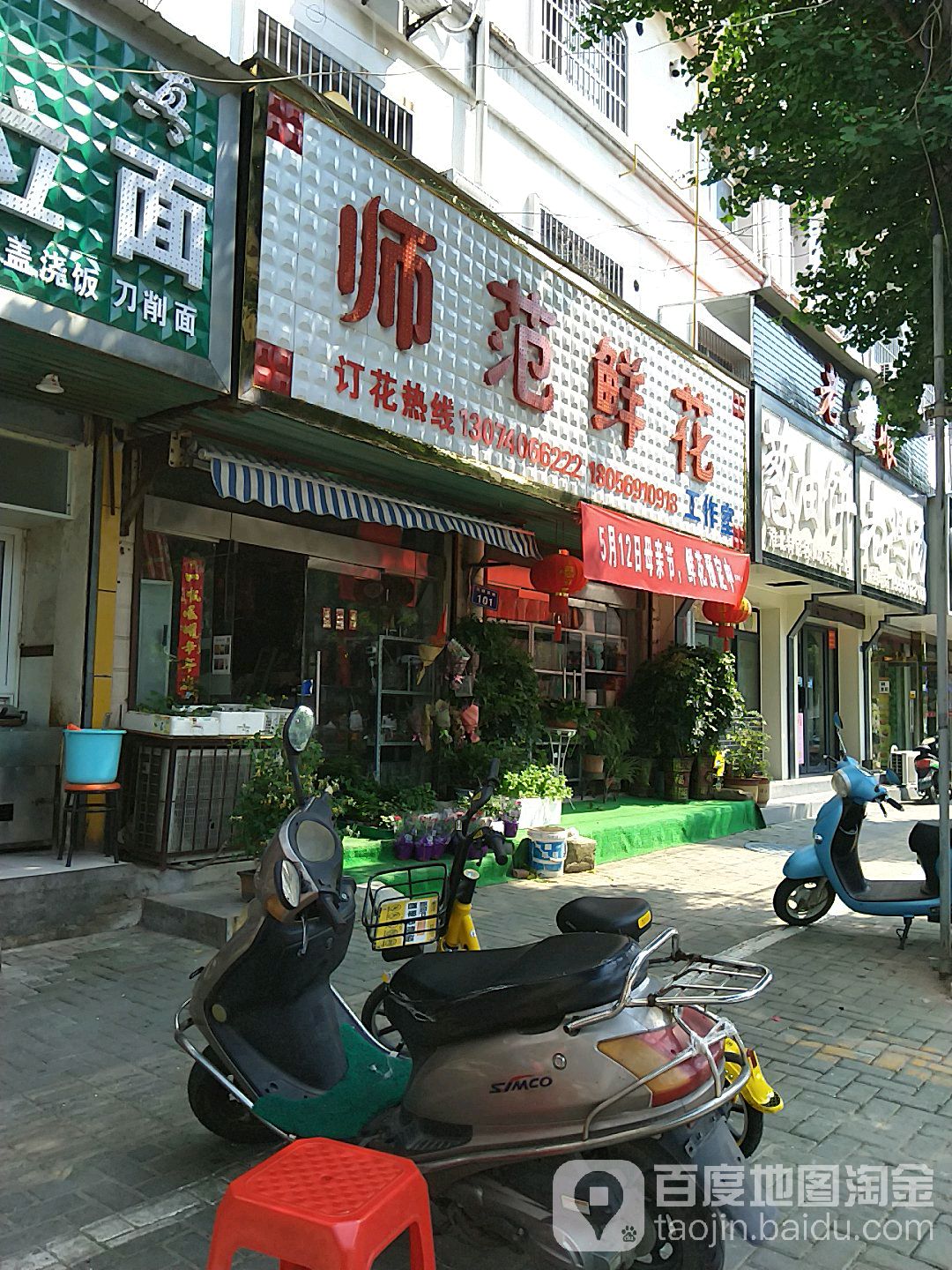 师大鲜花