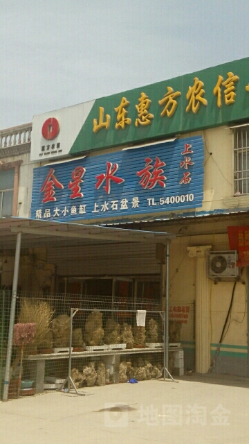 金新水族