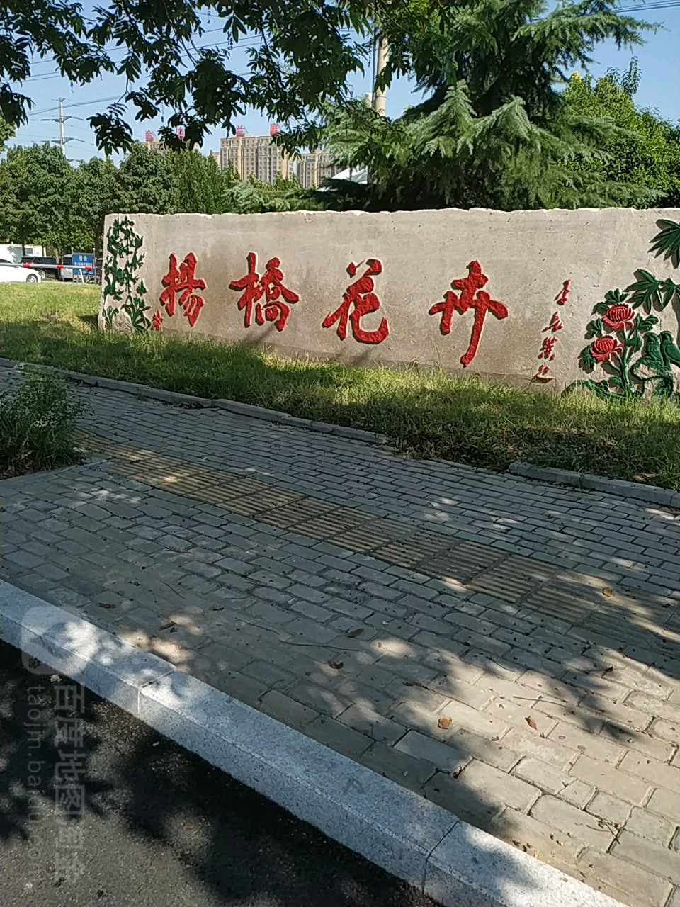 杨桥花卉