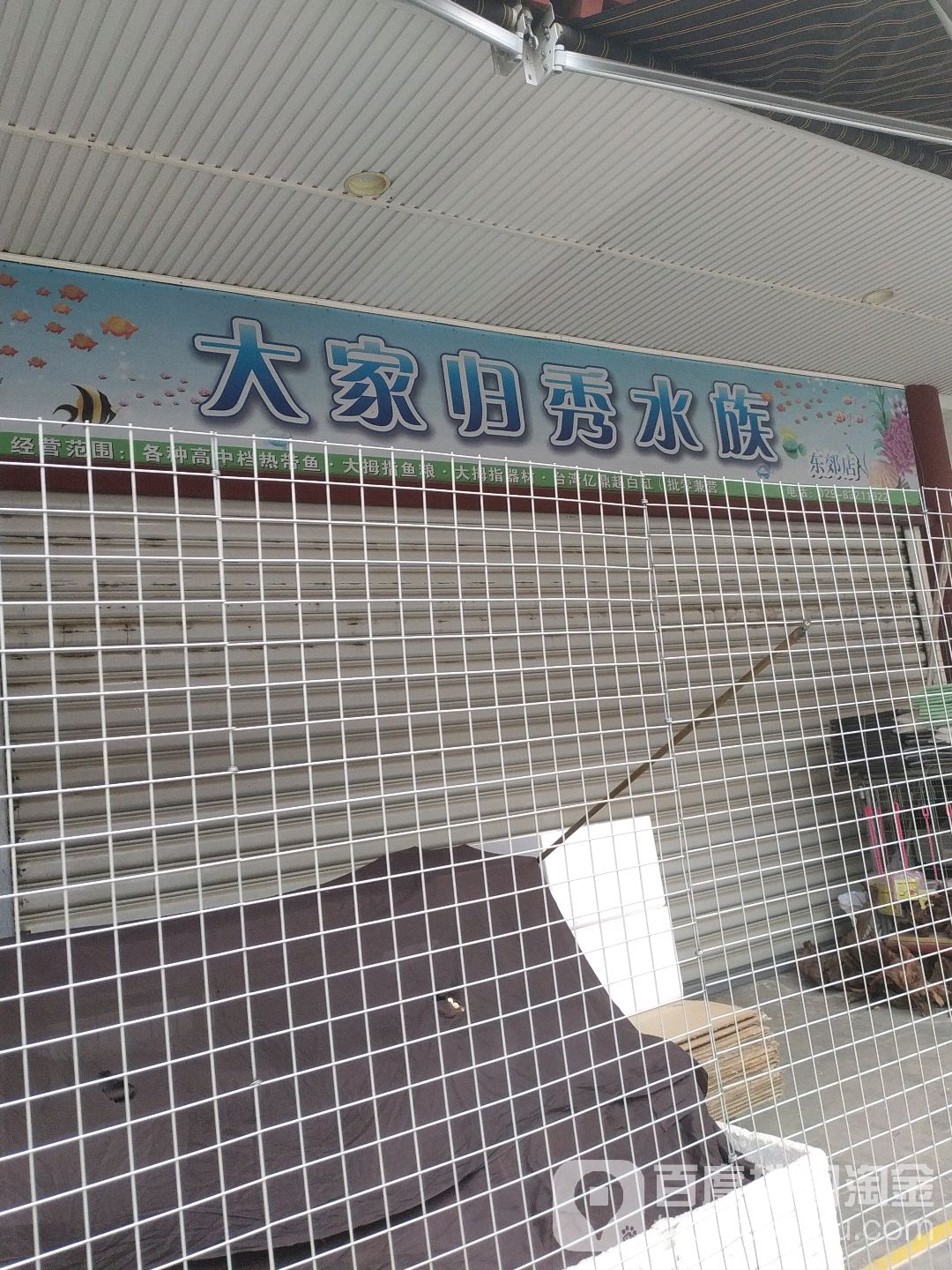 大家归秀水族