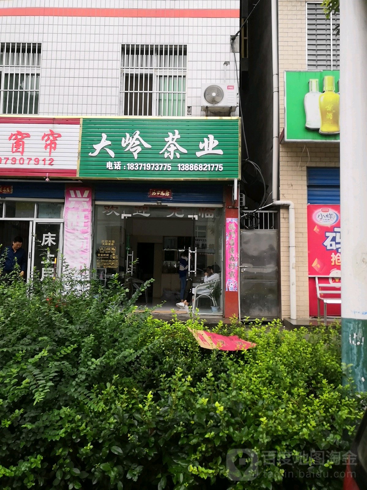 大岭茶业