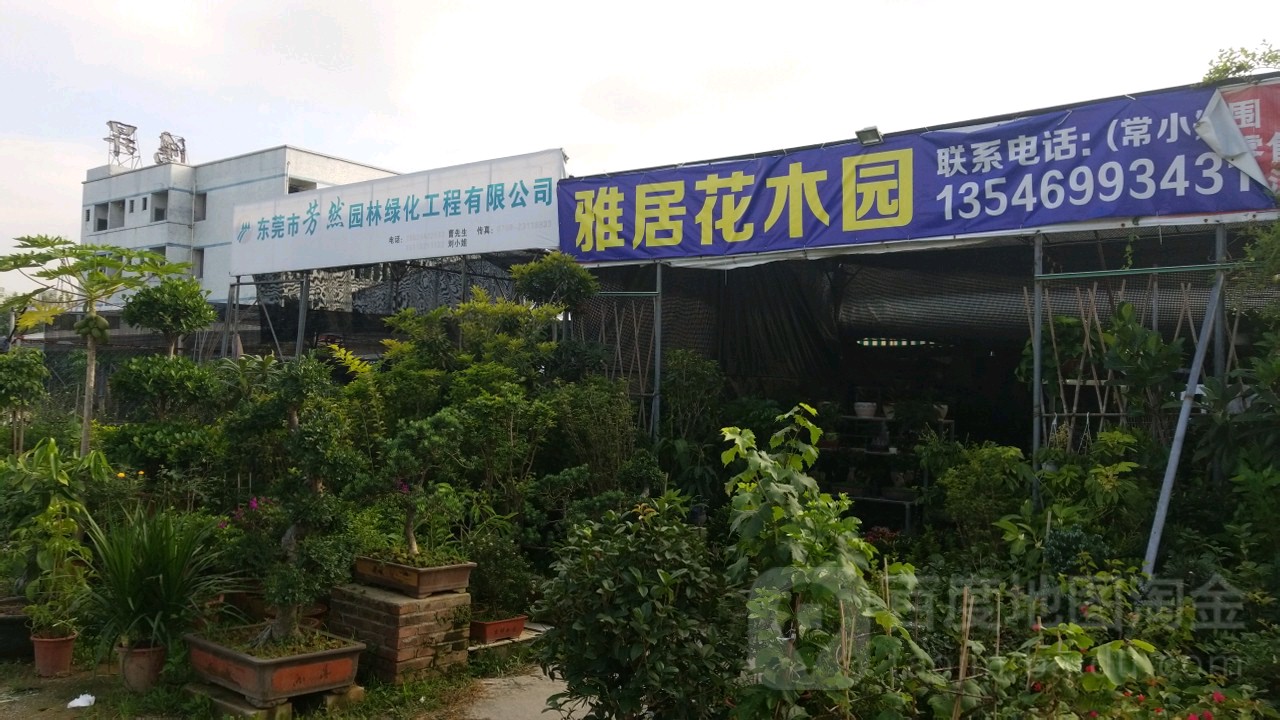 雅居花木园艺花店