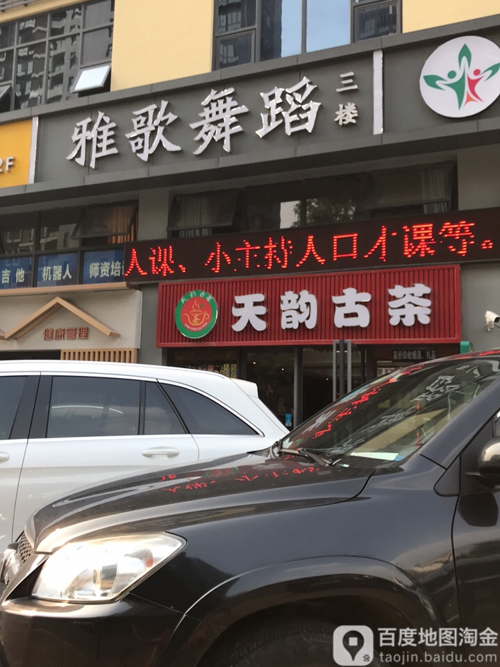 天韵古茶