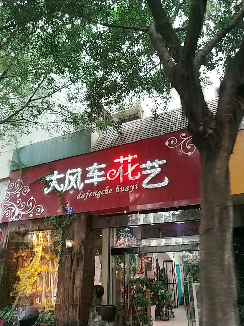 大风车花艺(海会路店)