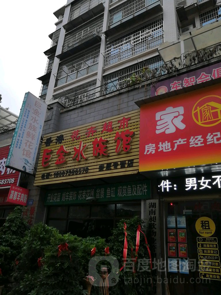 巨金水族鲜花馆(娄底专营店)