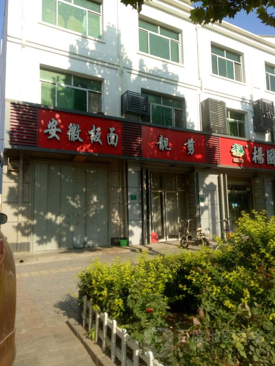 靓剪