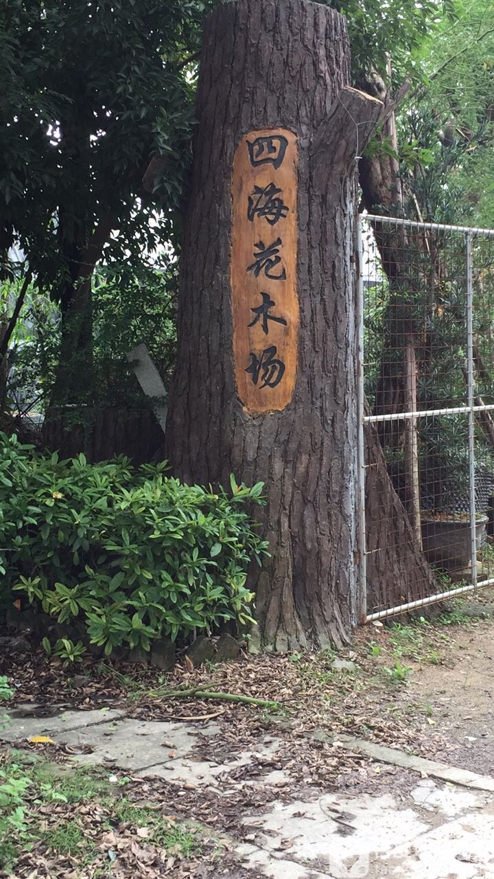 四海花木场