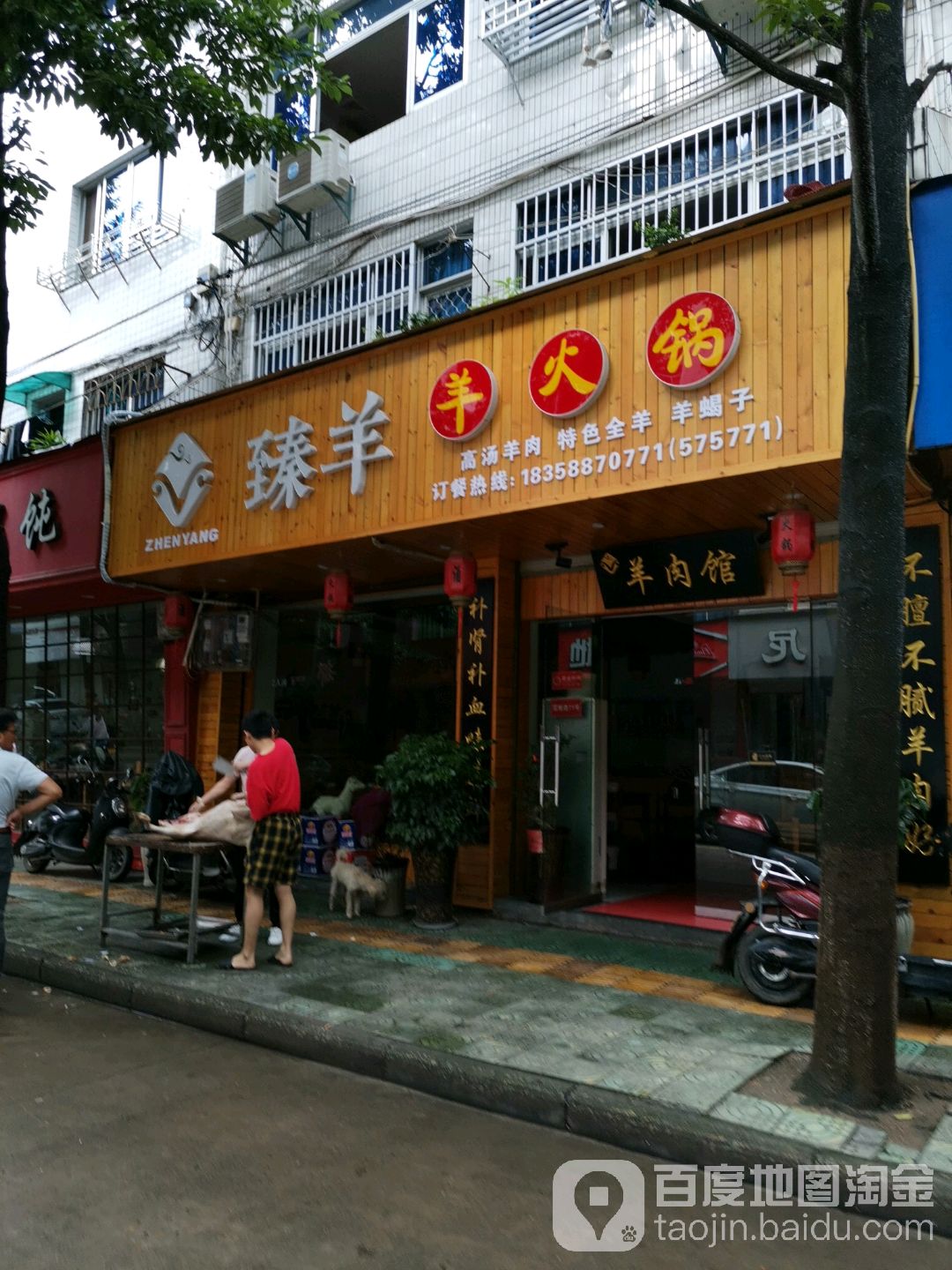 臻羊央火锅