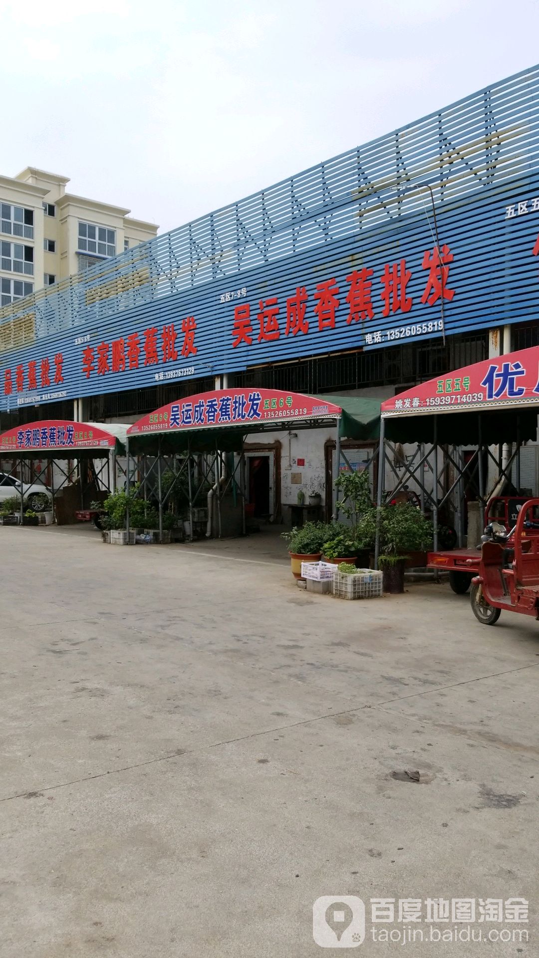 李家鹏香蕉批发