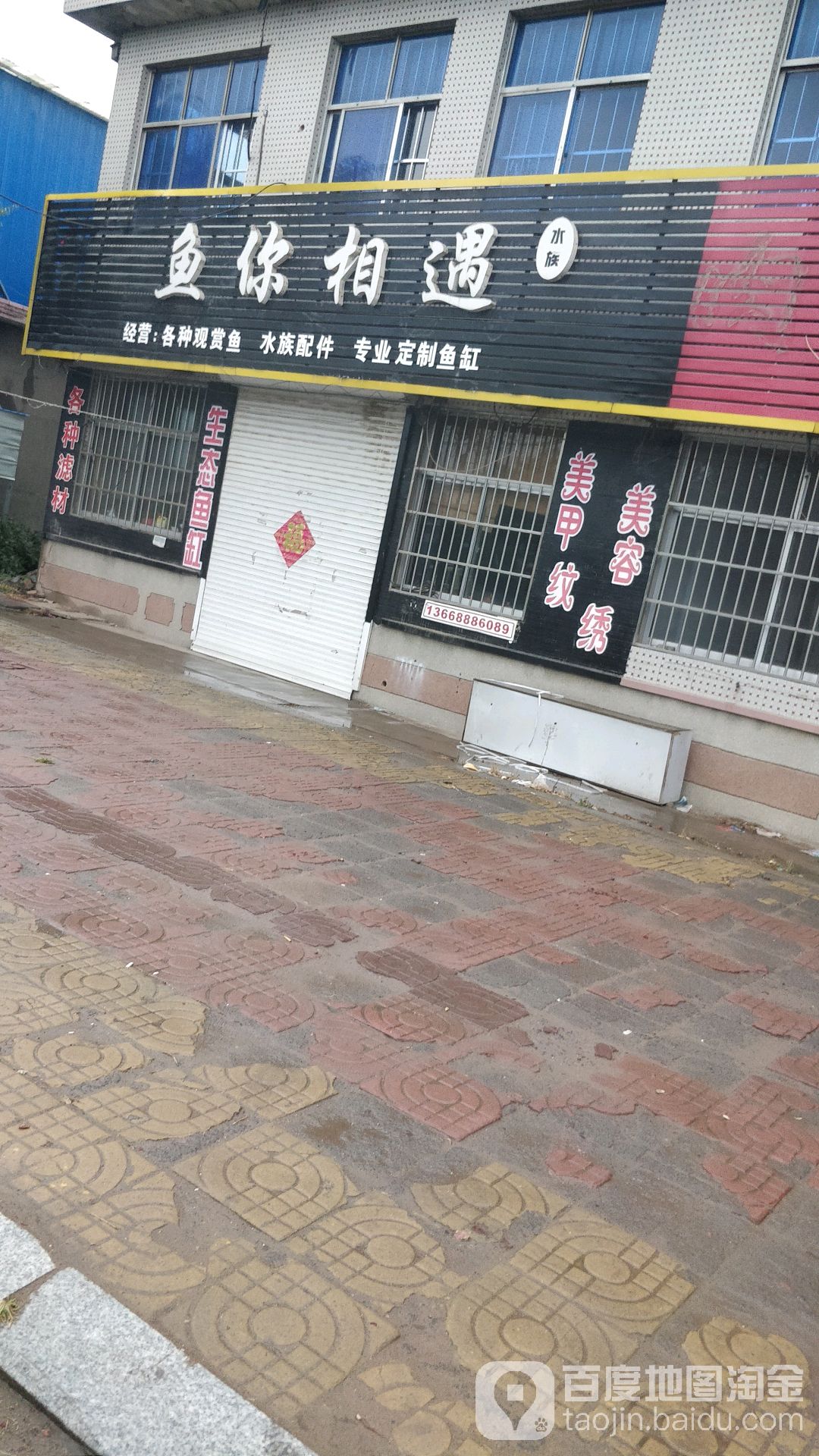 与你相遇水族