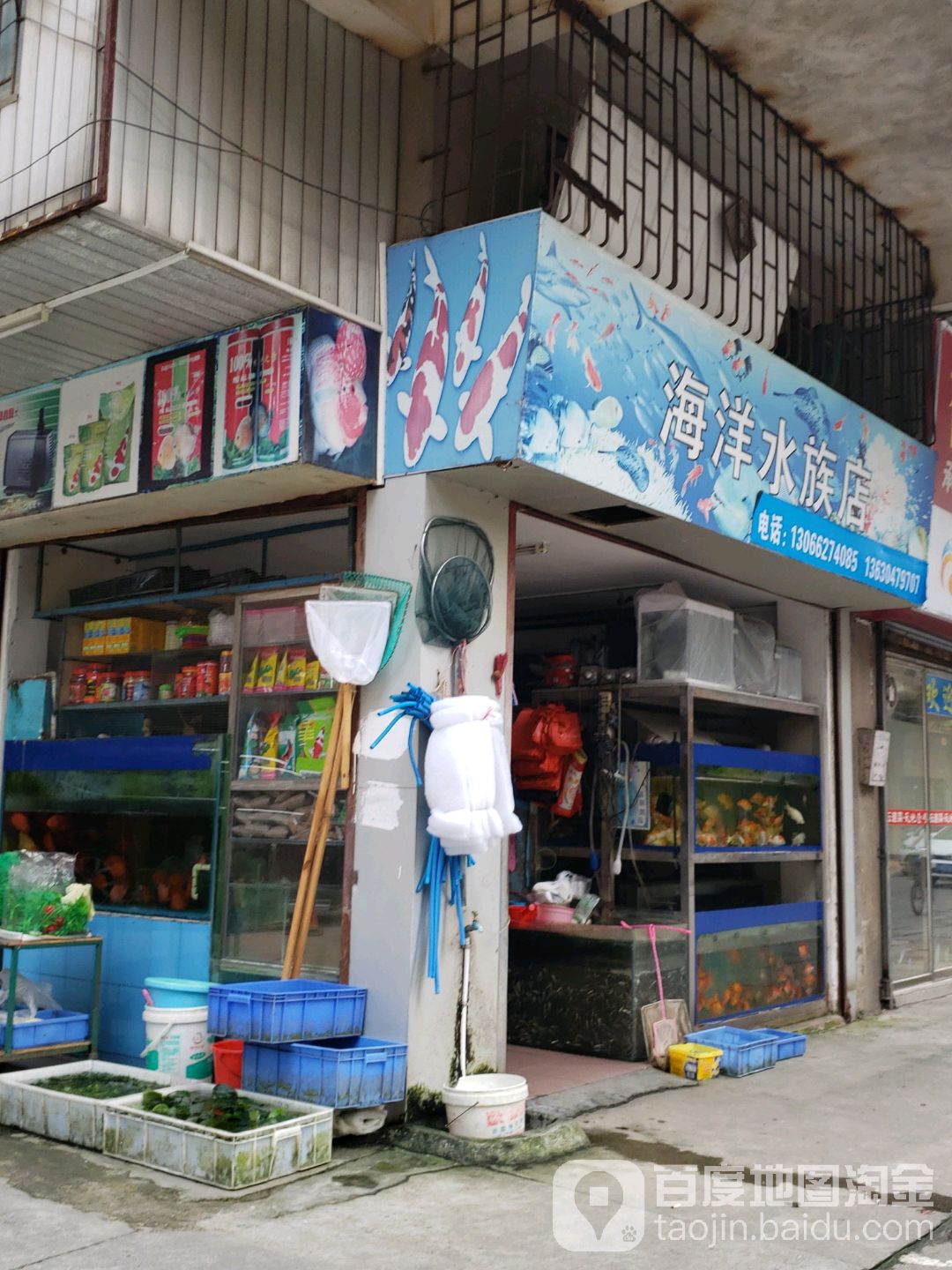 海洋水族店(南园路店)