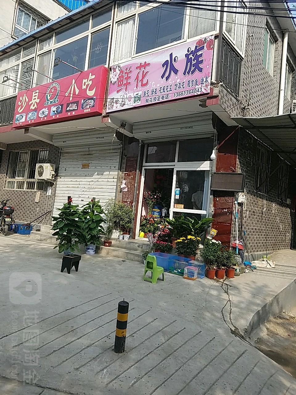 鲜花海族(东沙路店)