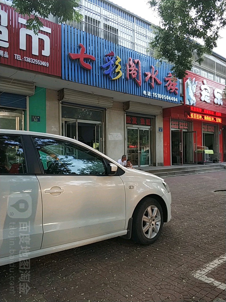 七彩山阁水族