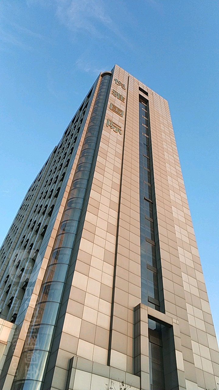 悦雅国际