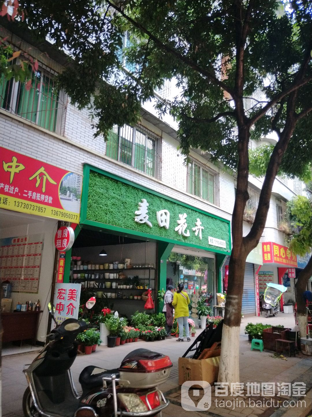 麦田花卉(通达路店)