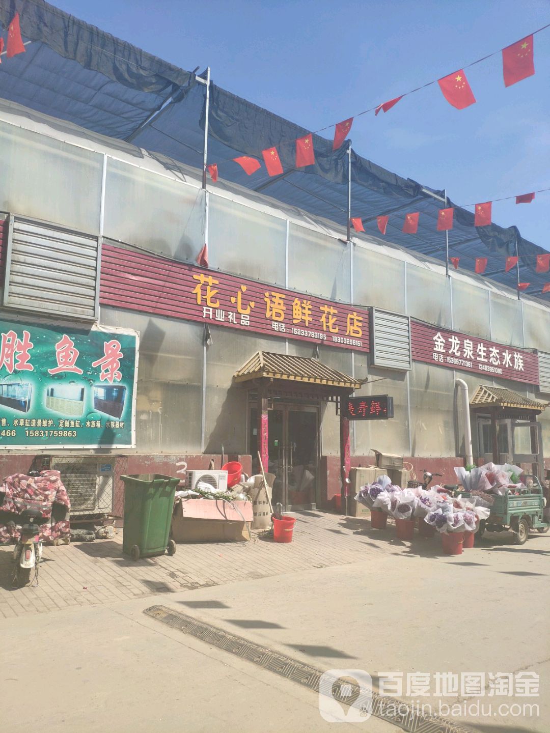 金泷泉生态水族