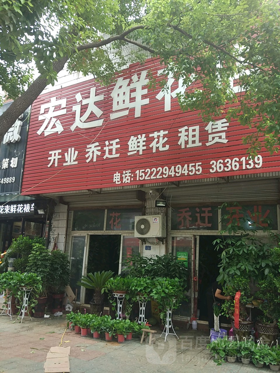 宏达花店(青年路店)