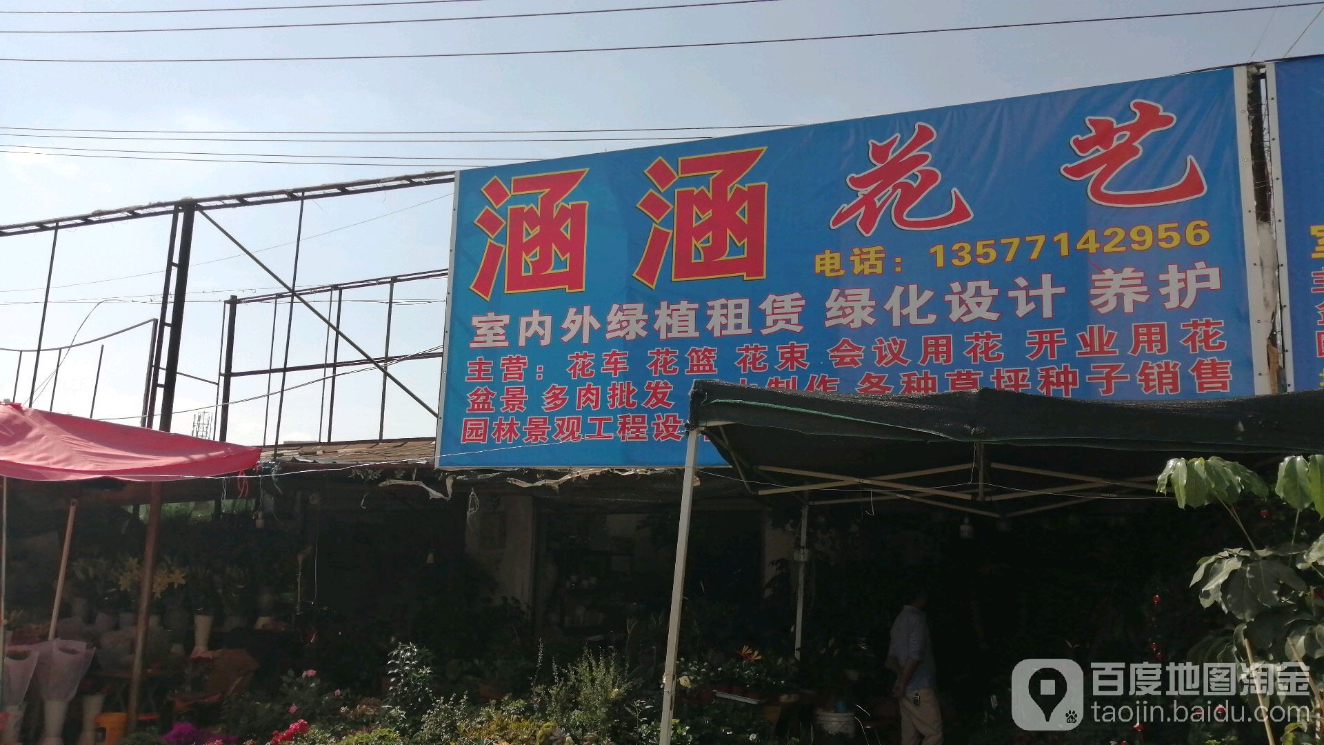 涵涵花一