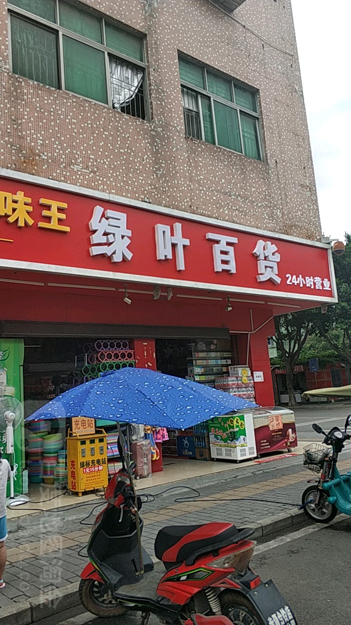 绿叶百货(南亭路店)