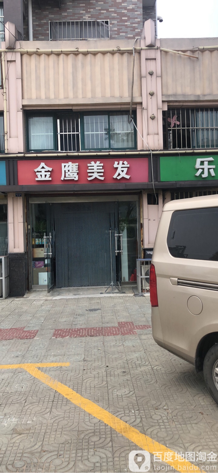 金鹰理发