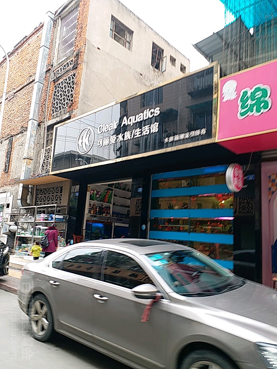 可丽爱水族生活管(石灰市街店)