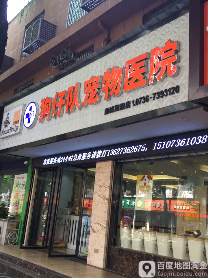 狗仔队宠物医院(鼎城旗舰店)