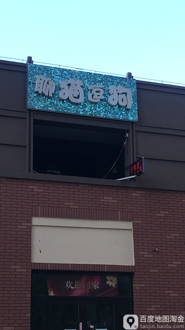 聊猫逗狗宠物店