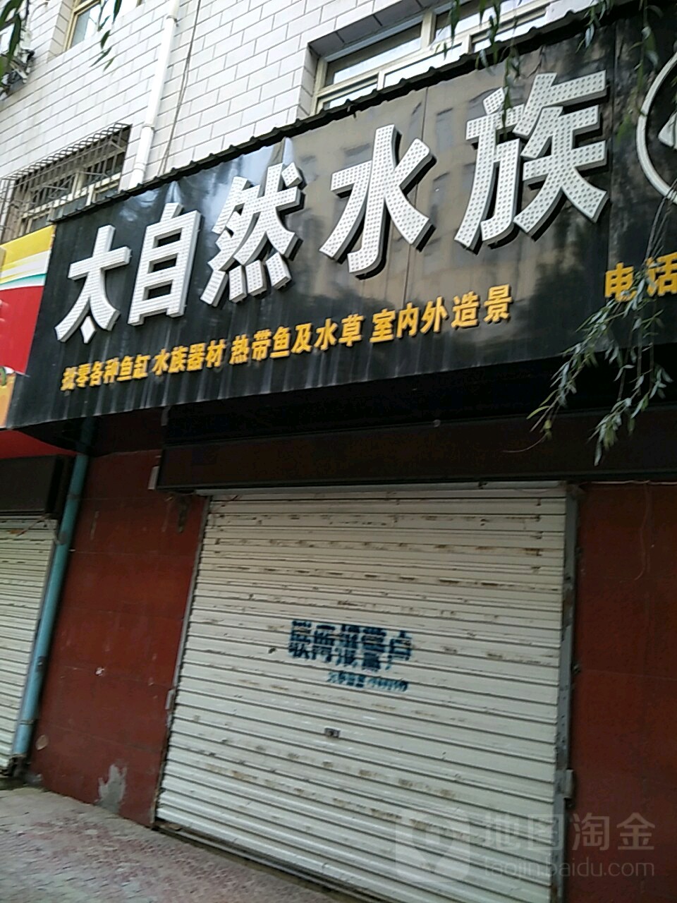 太区自然水族(南滨路店)