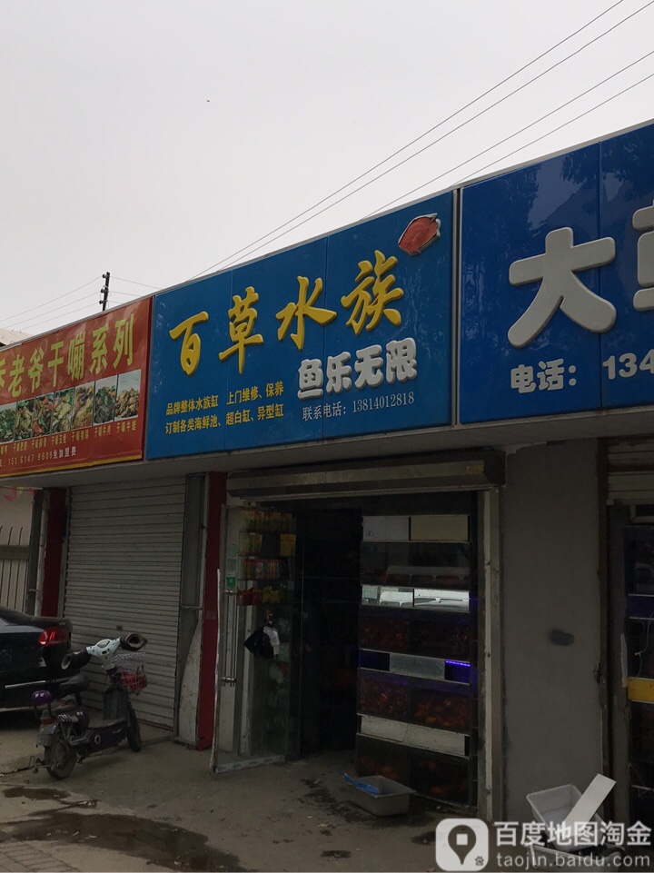 百草木族