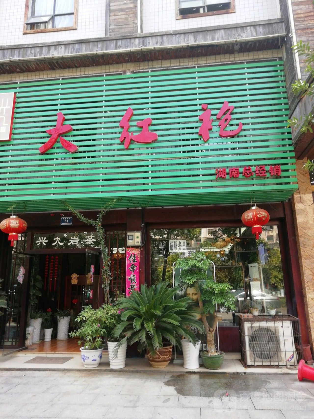 大红袍(湖南总经销)