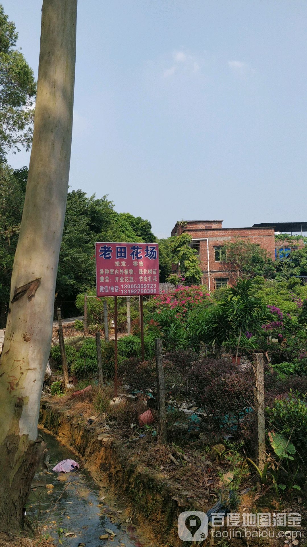 老田花肠