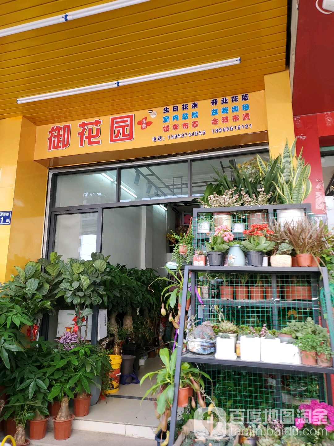 御花园花艺(河滨西路店)