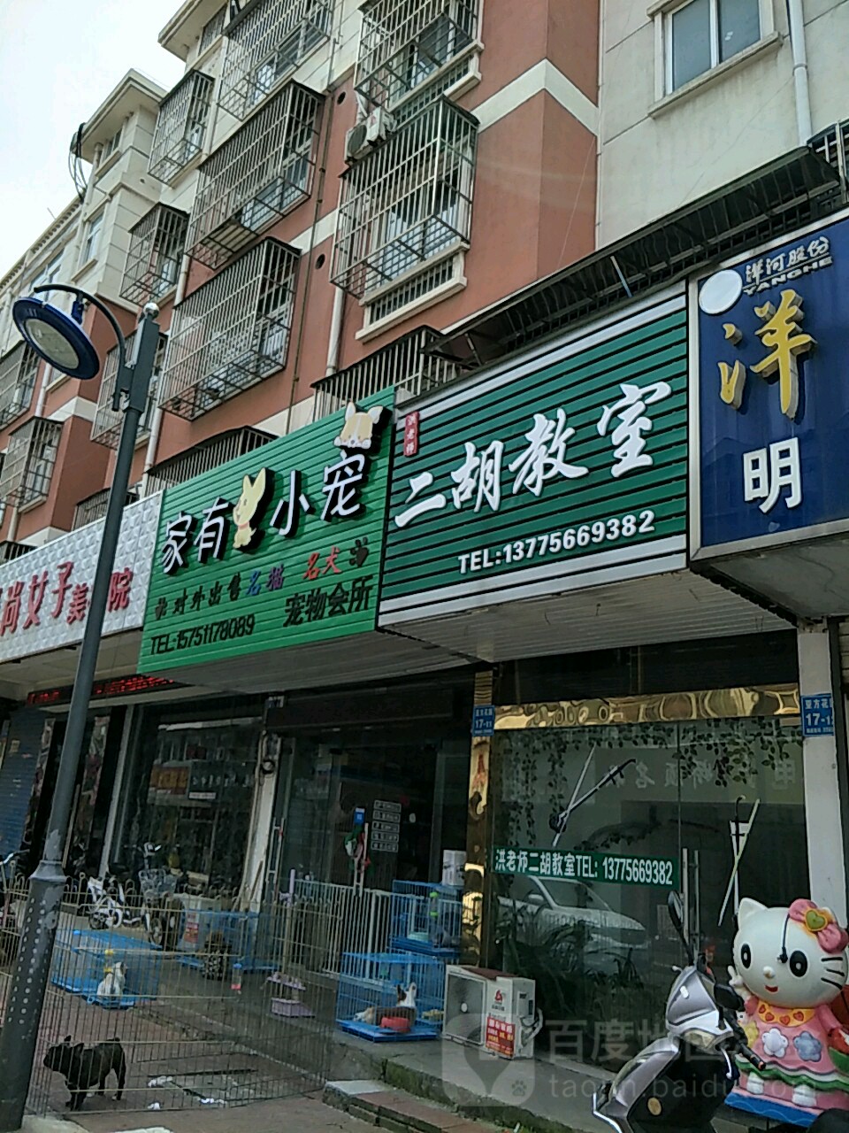 家有小宠宠物会所