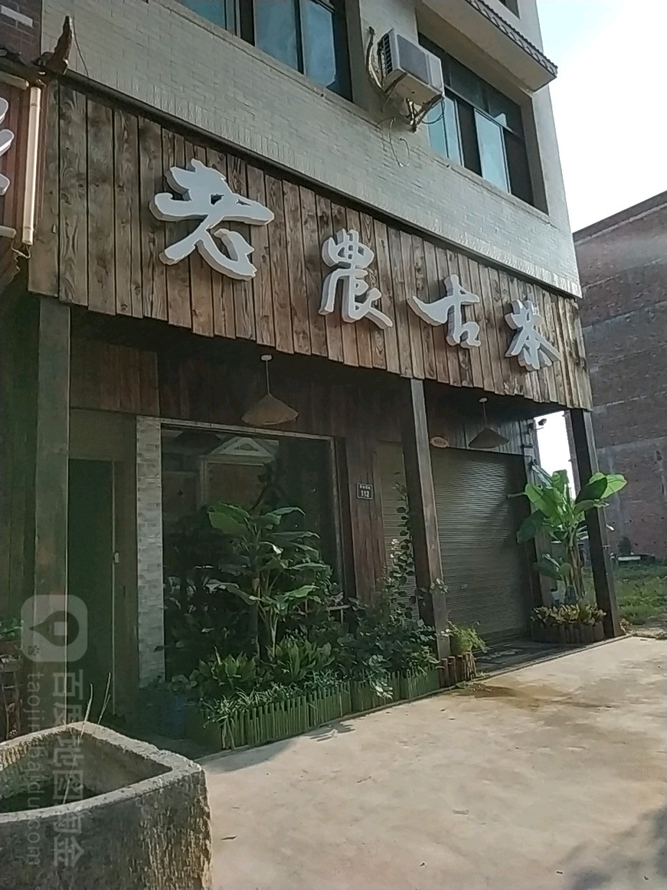 老农古茶