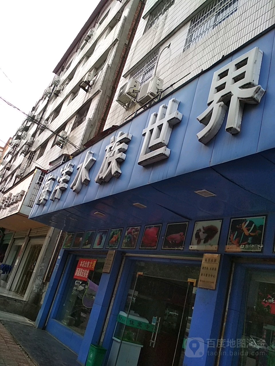 淅川县海洋水族世界(淅川店)