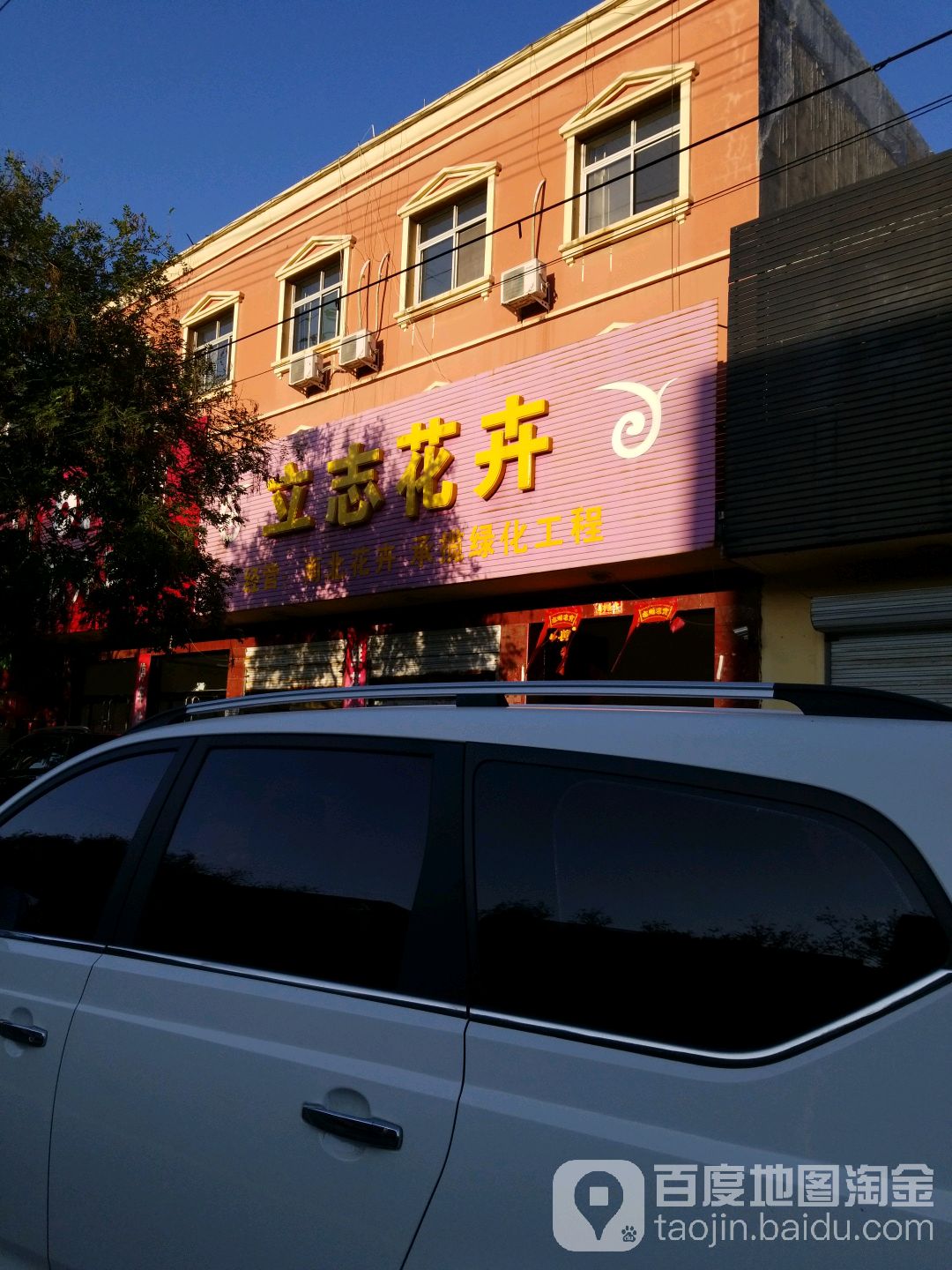 立志花卉