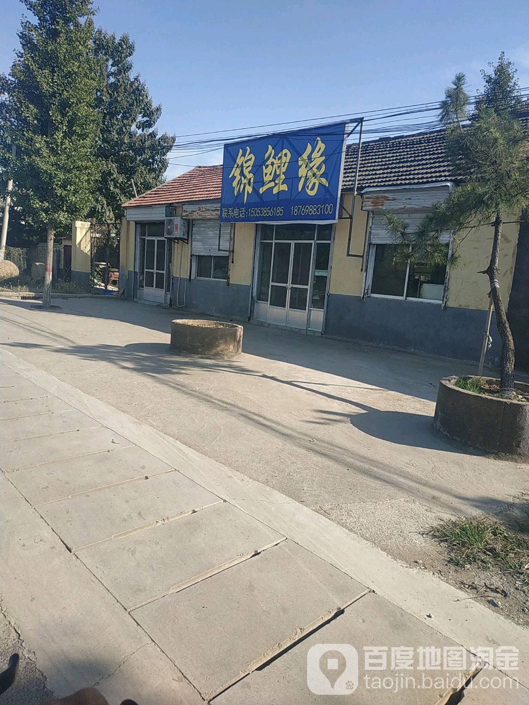 锦鲤缘