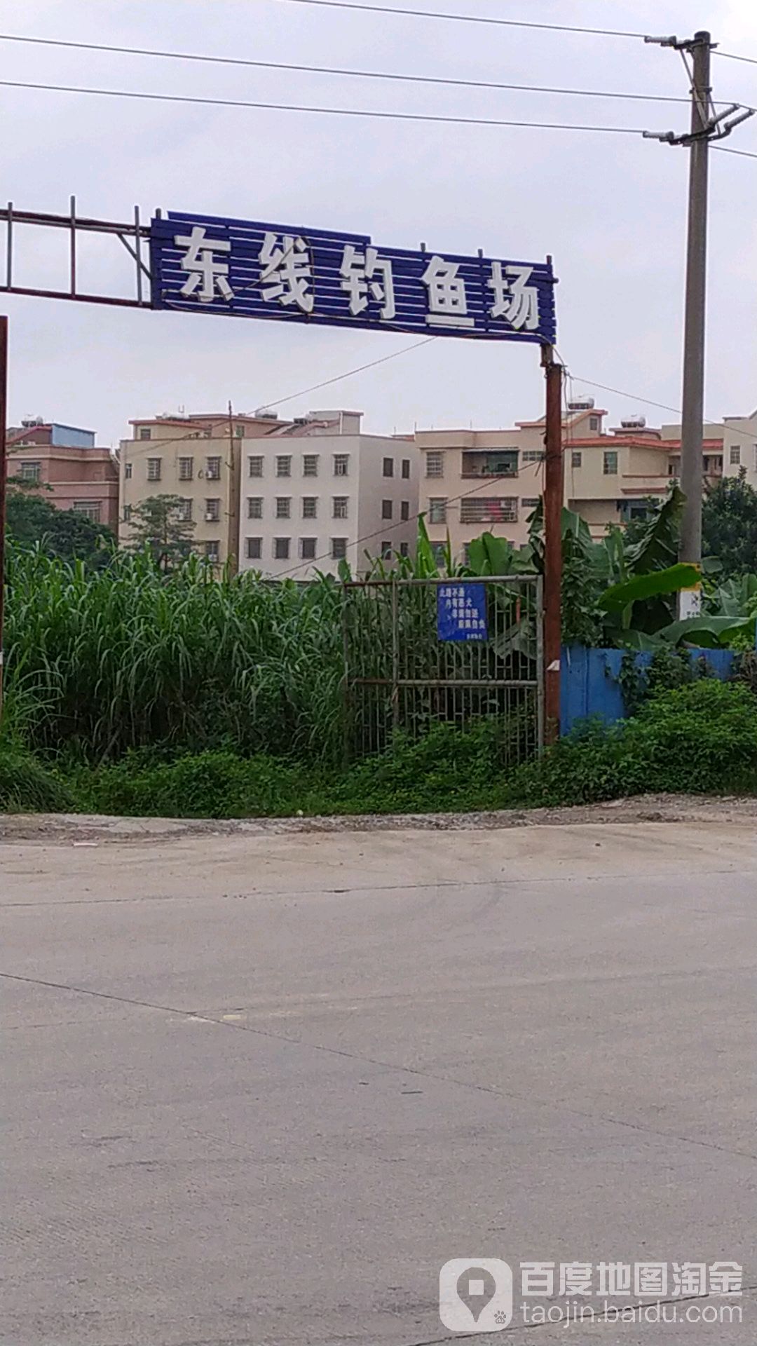 东线钓鱼场