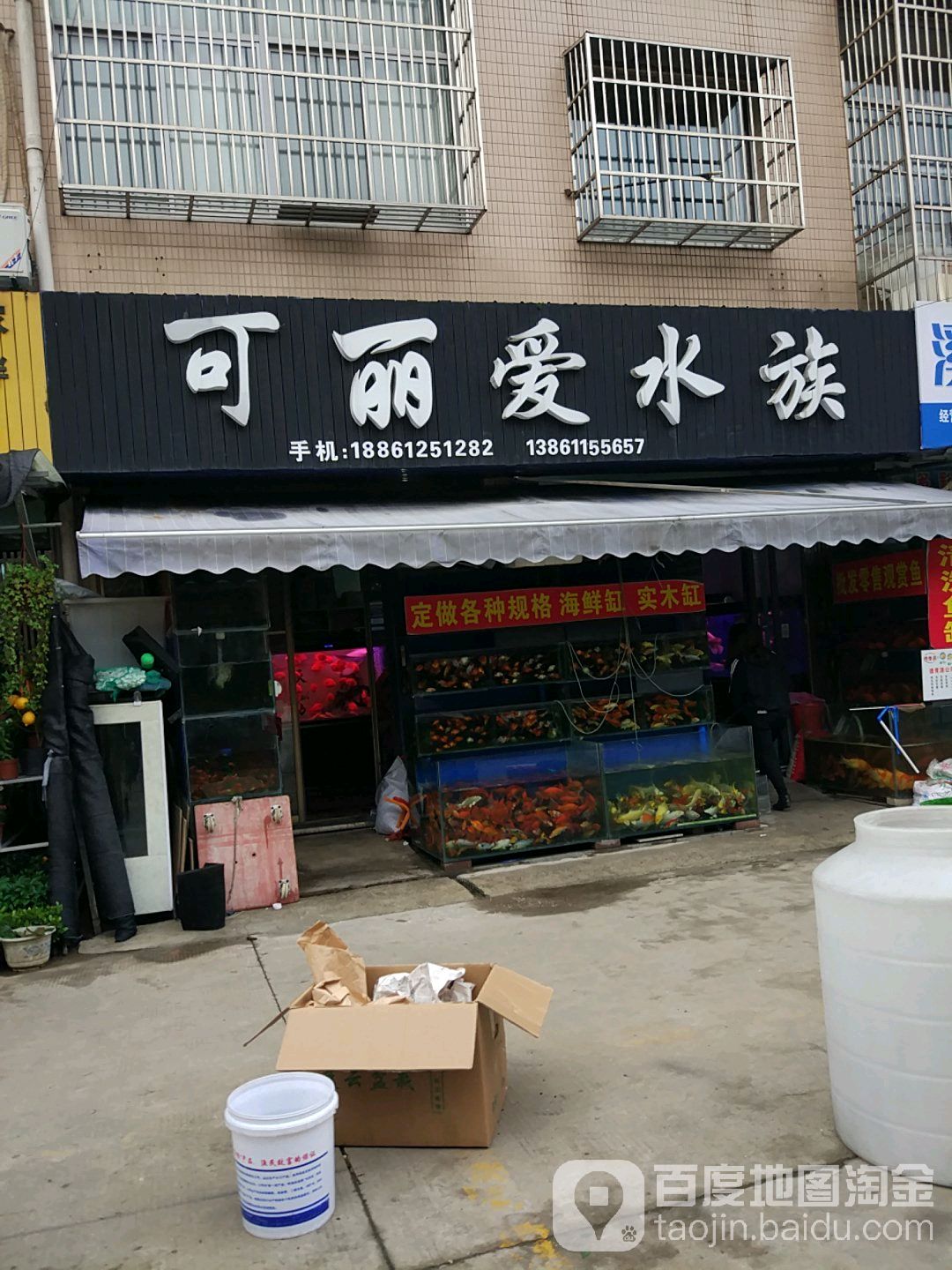 可丽爱水族(江苏益联集团公寓店)