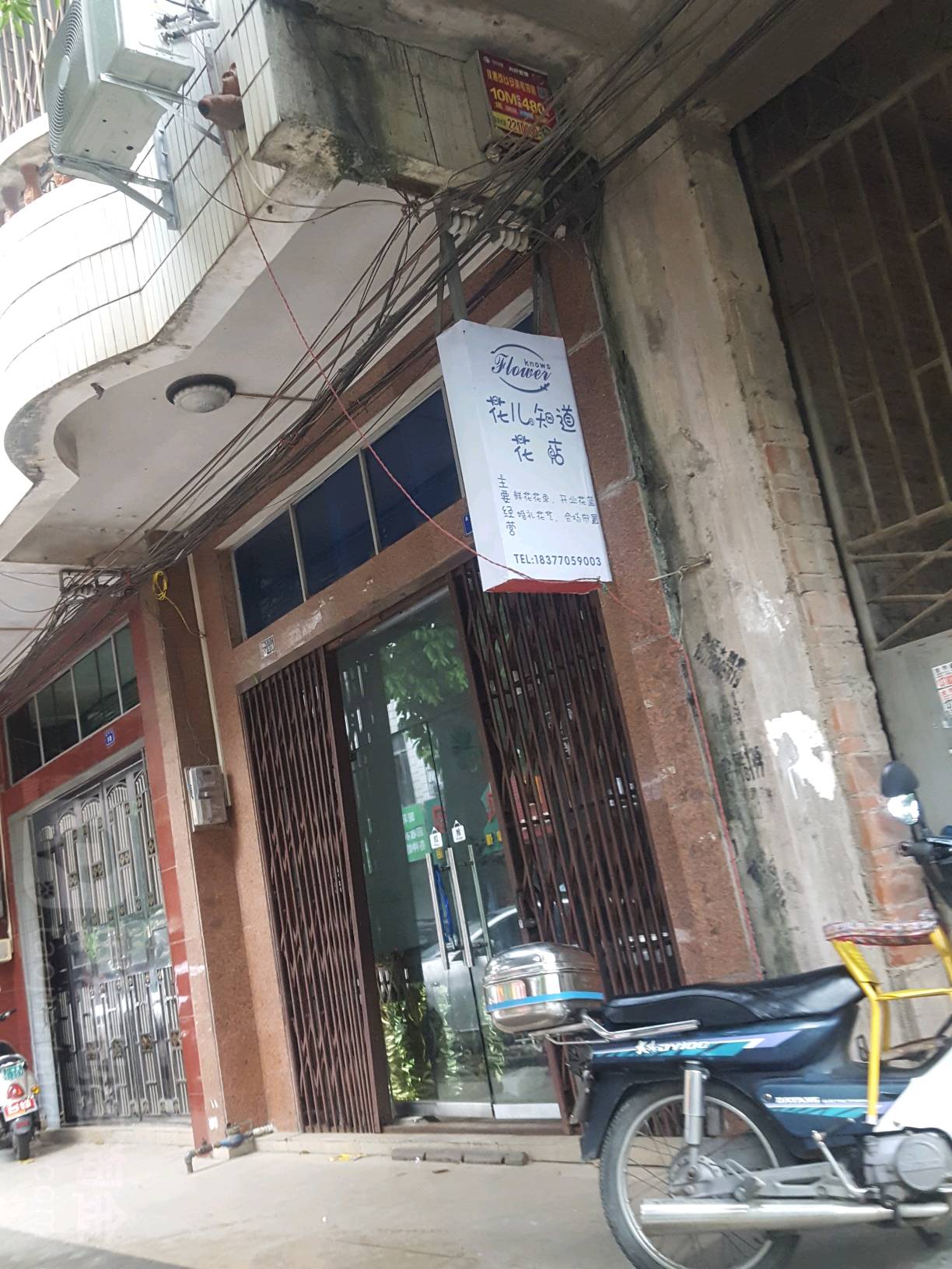 花儿知道花店