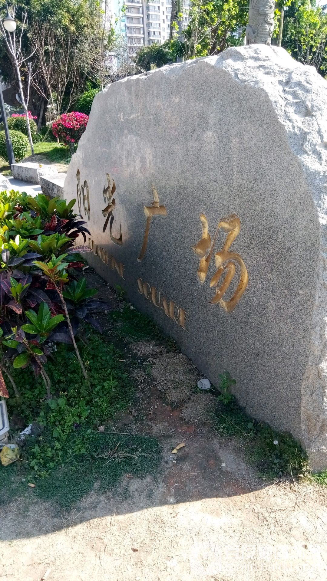 阳光广场