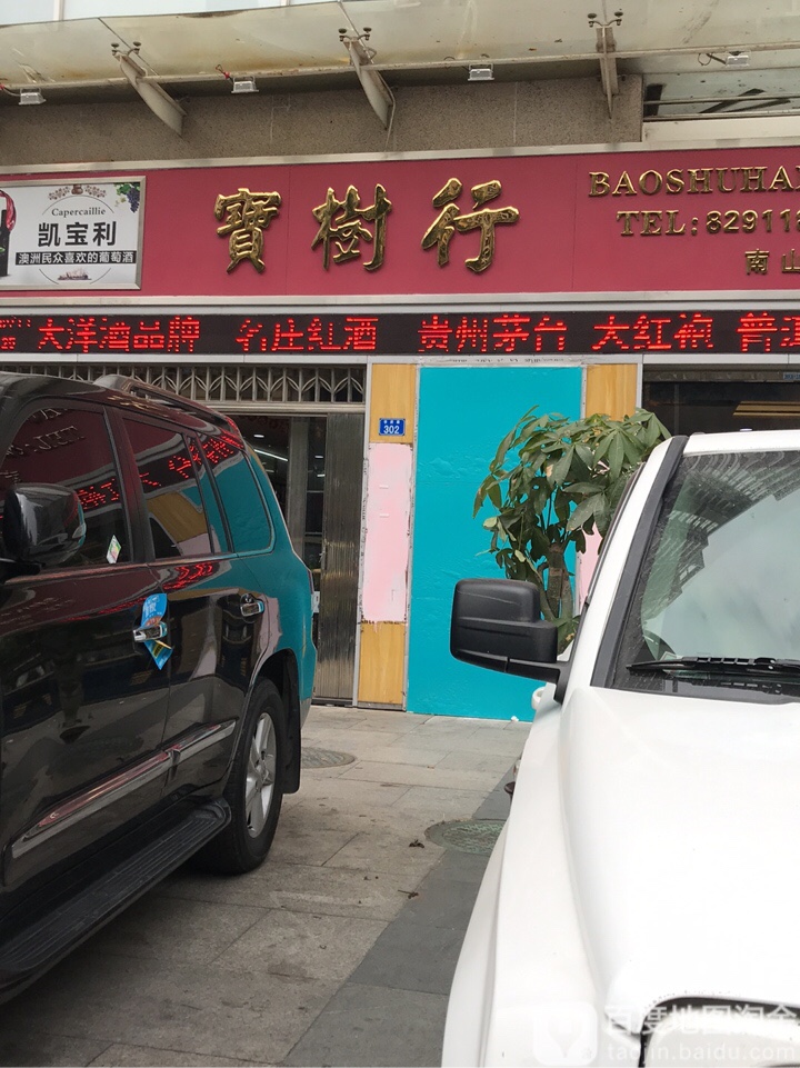 宝树行(南山店)