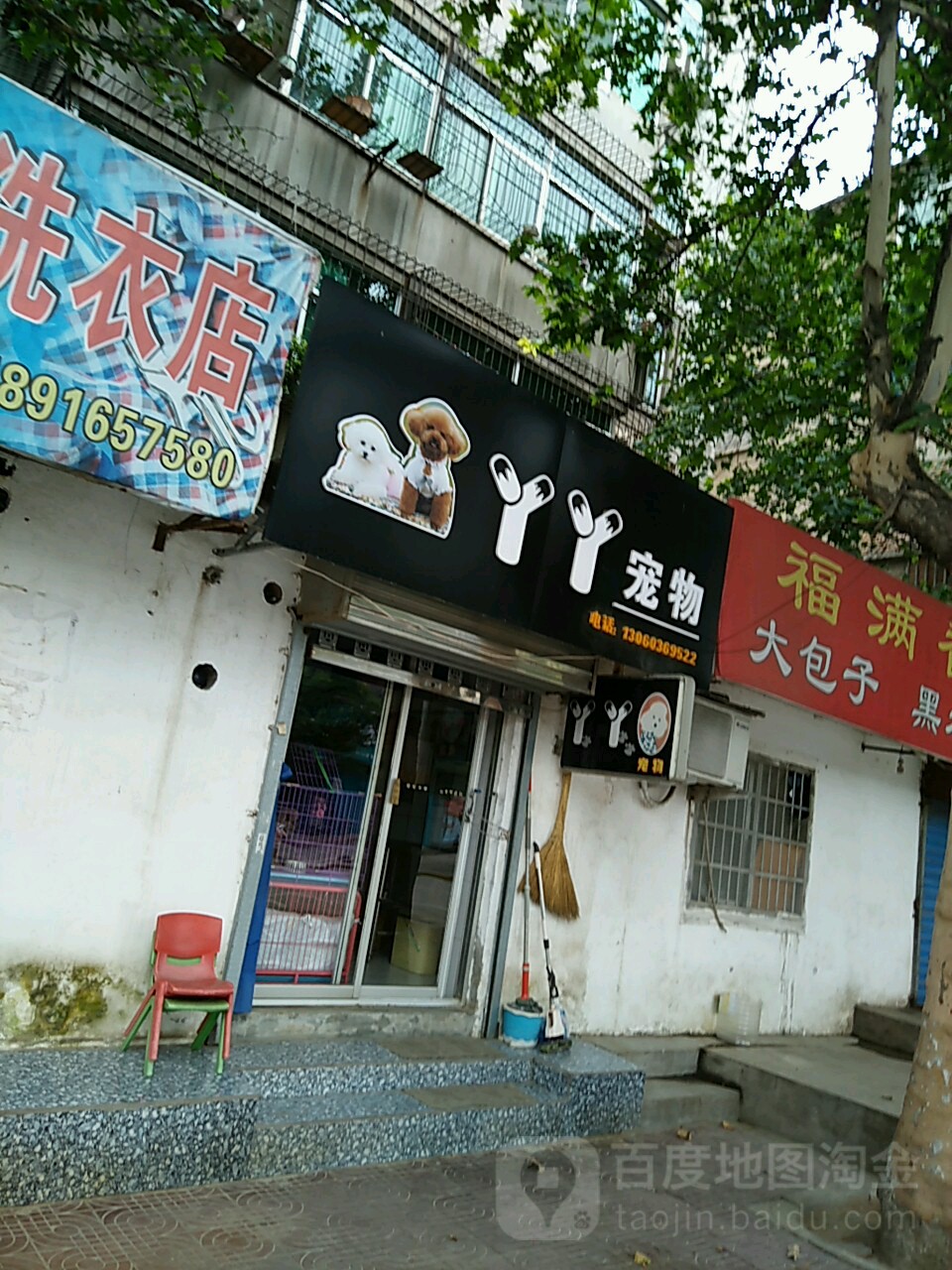 丫丫宠物