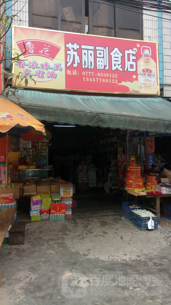 苏丽副食店