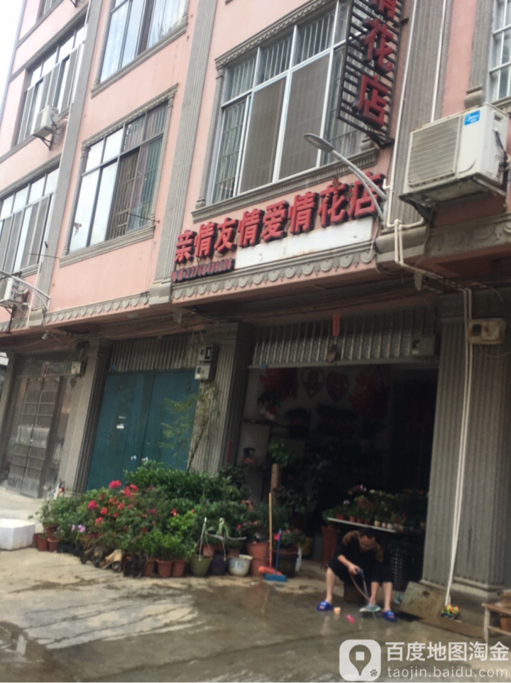 亲情友情爱情花店